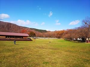 きれいな青い空の下にたくさんの木々と芝生が広がっている写真
