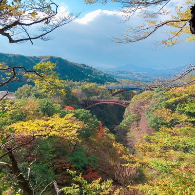 たくさんの黄色や緑の木々の中に遠くに見える赤い陸橋と青い空と白い雲が広がる写真