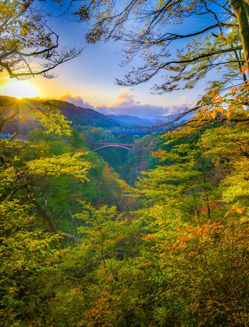 濃淡の緑色の木々の向こうに赤い陸橋が見え、山からは太陽の光が差し込んでいる幻想的なグランプリの写真