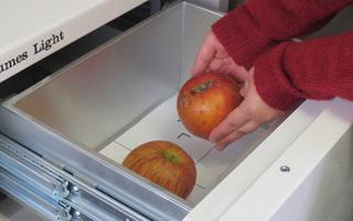計測器にりんごを2個いれている写真