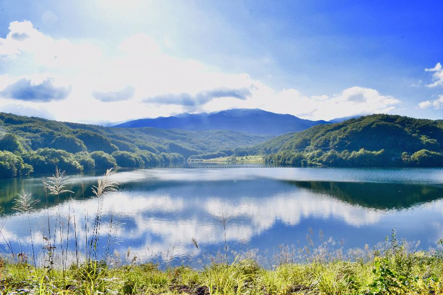 緑豊かな山なみと晴天の雲が写る湖の写真