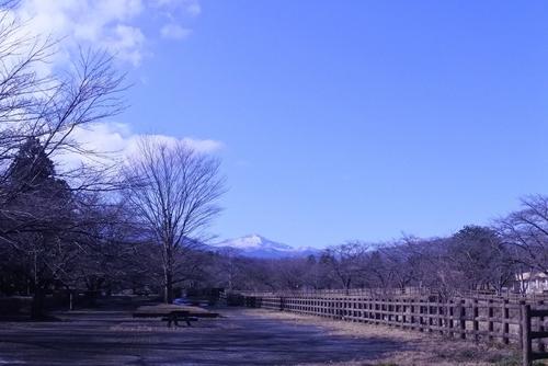 青い空の下、遠くに見える山には雪が被り、澄んだ空気を感じられそうな木々に囲まれた広場の写真