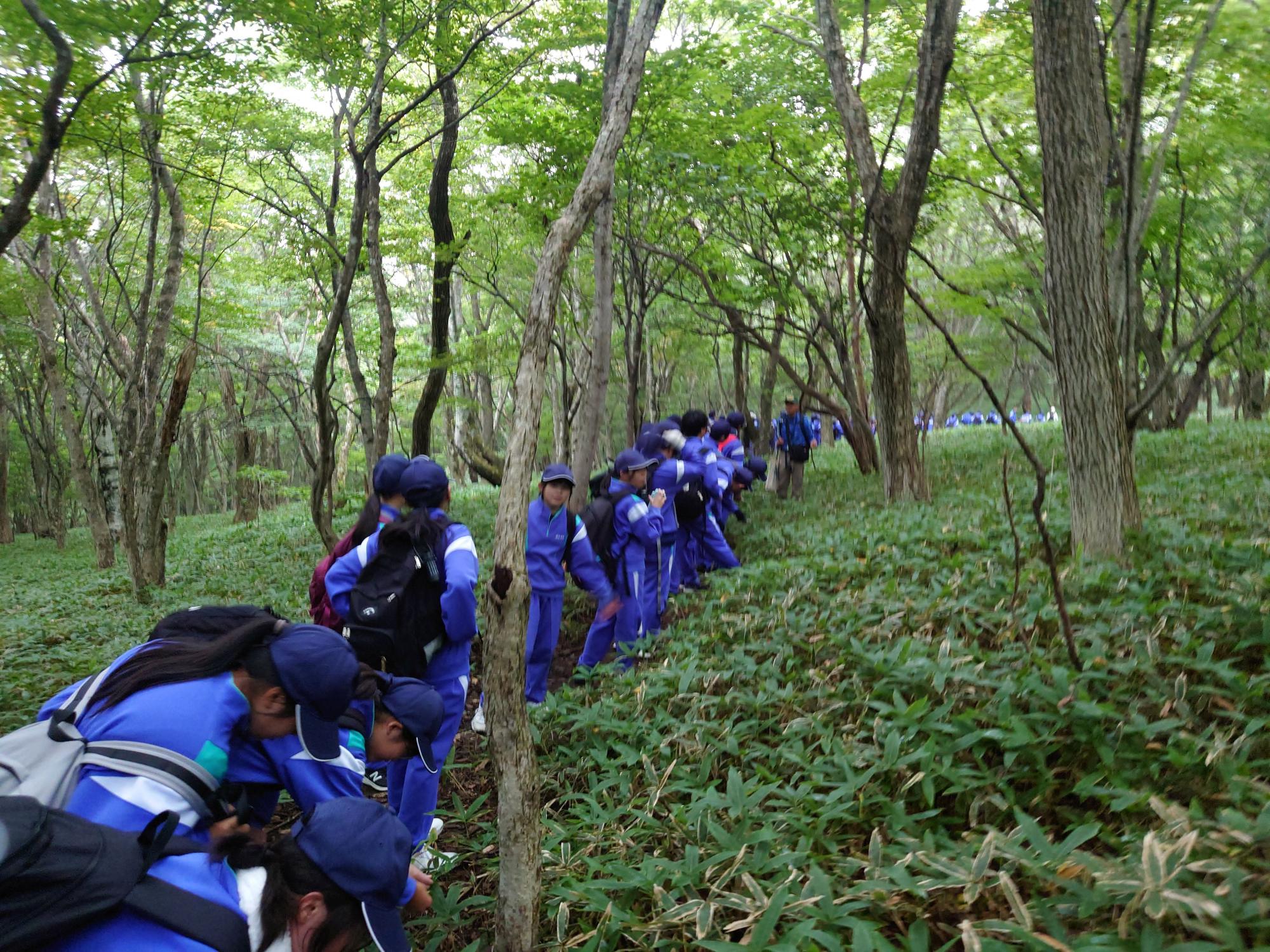 西郷第一中学校1