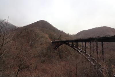 茶色の陸橋が山の奥まで続いている写真