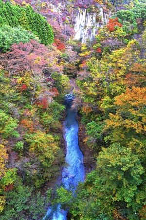 緑や黄色、紅葉した木々の断崖絶壁を流れる川の写真