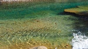 エメラルド色に透き通ったきれいな川の写真