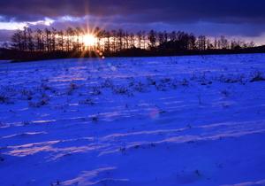白い雪が瞑色に広がり遠くに木々から太陽が差し込んでいる写真