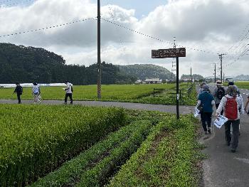 見学スポットを目指して