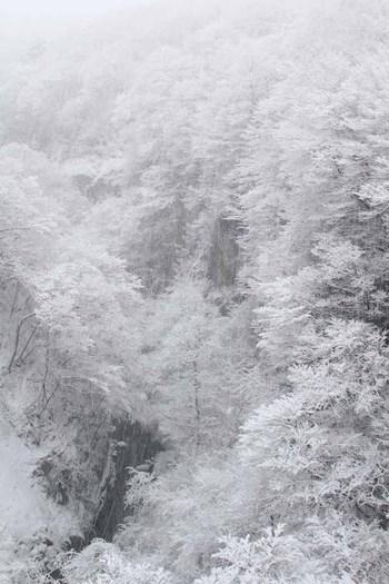 雪割渓谷に雪が降り積もっている写真