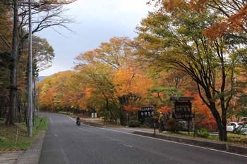 道路沿いの紅葉が綺麗な甲子地方の写真