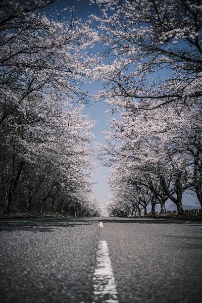 フォトコン優秀賞2