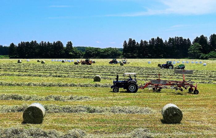 フォトコン最優秀賞2026-1