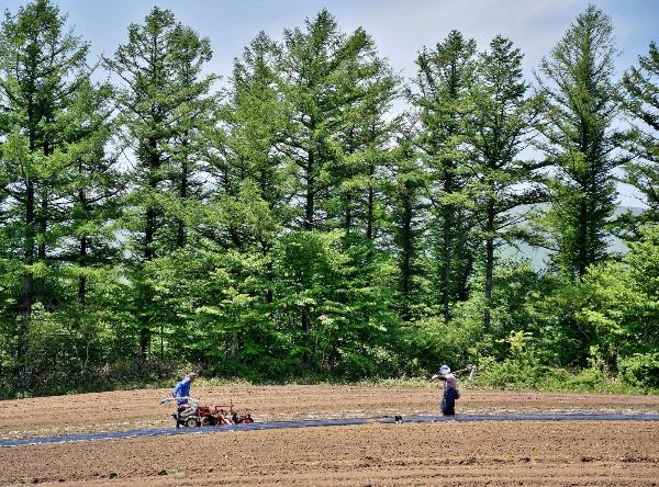 にしごうフォトコンテスト2026優秀賞3