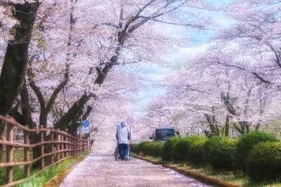 にしごうフォトコンテスト2026優良賞-4