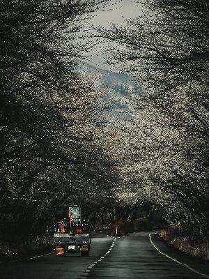 にしごうフォトコンテスト2026優良賞-7