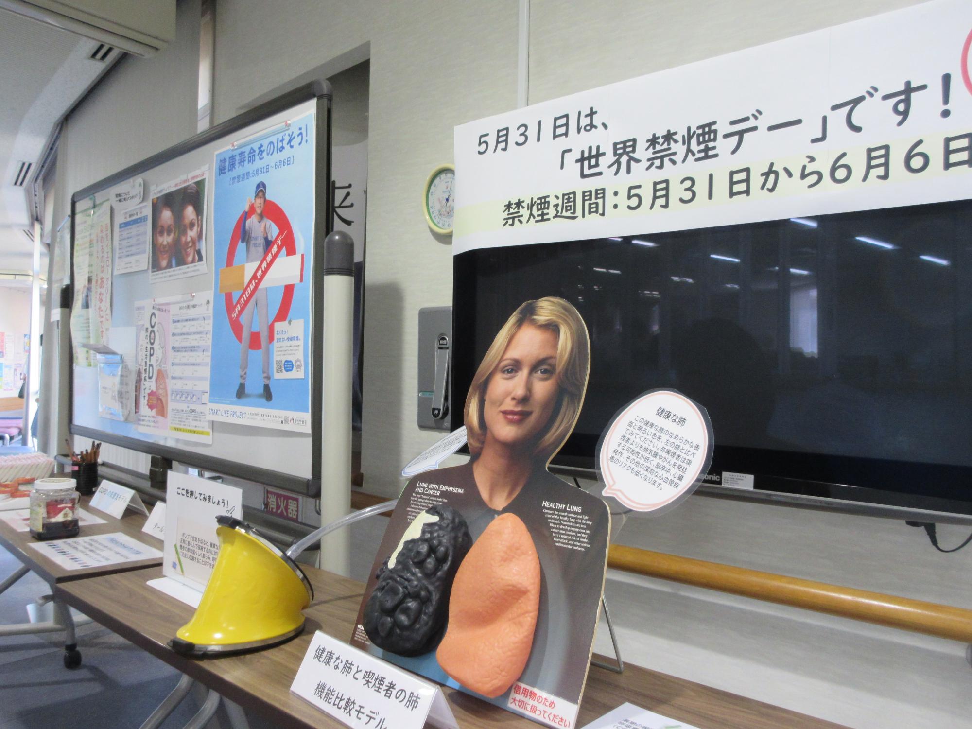 禁煙デーに関する展示