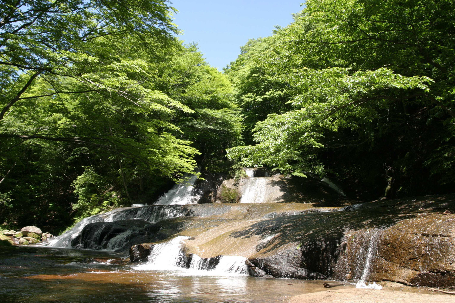 test